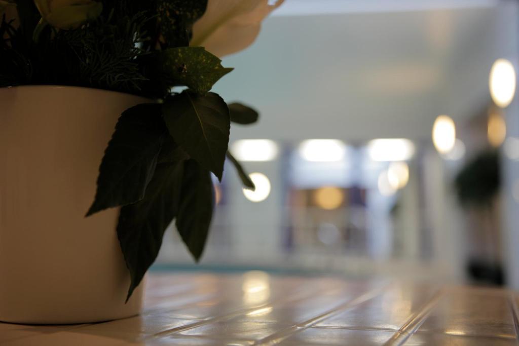 The Red Lea Hotel 스카버러 외부 사진